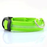 Small Dogs Collar LED