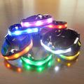 Small Dogs Collar LED